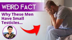 Causes of Small Testicles